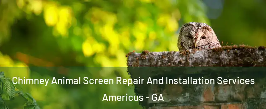  Chimney Animal Screen Repair And Installation Services Americus - GA