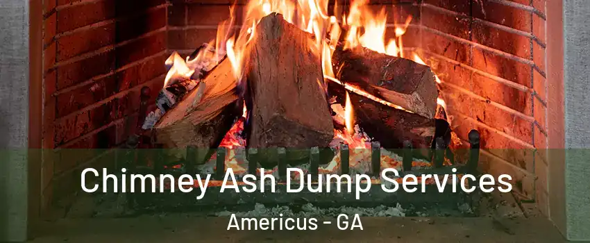  Chimney Ash Dump Services Americus - GA