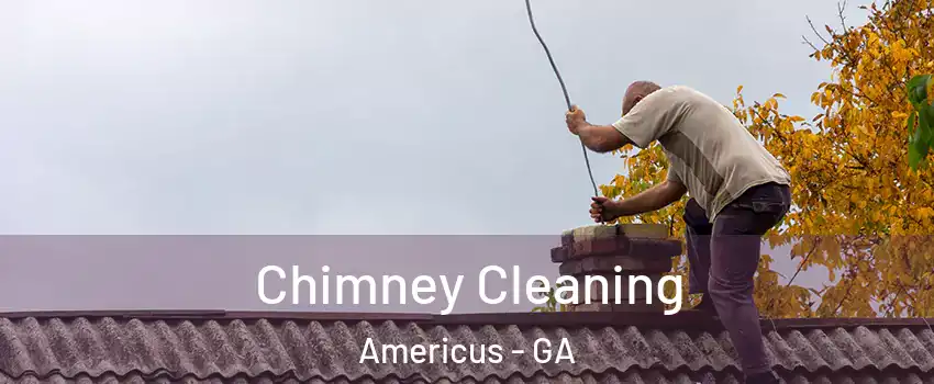  Chimney Cleaning Americus - GA
