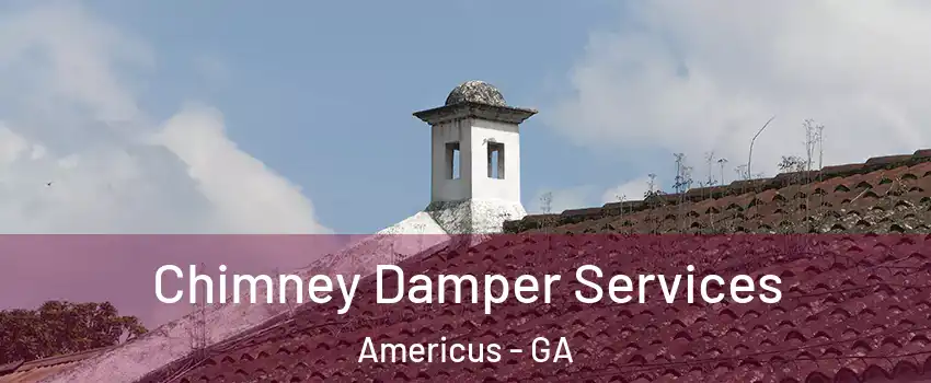  Chimney Damper Services Americus - GA