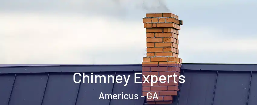  Chimney Experts Americus - GA
