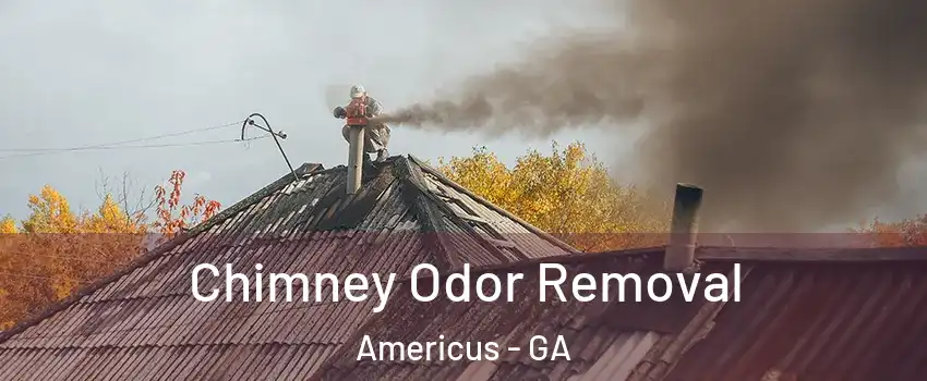  Chimney Odor Removal Americus - GA