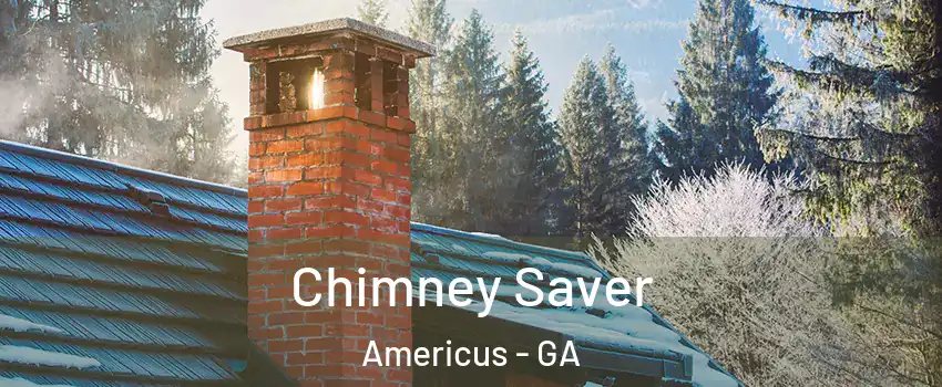  Chimney Saver Americus - GA