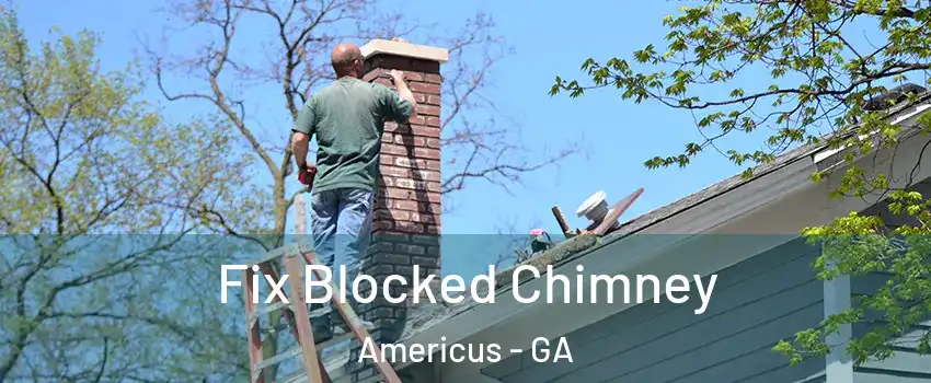  Fix Blocked Chimney Americus - GA