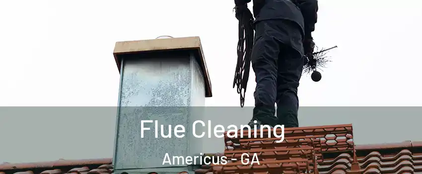  Flue Cleaning Americus - GA