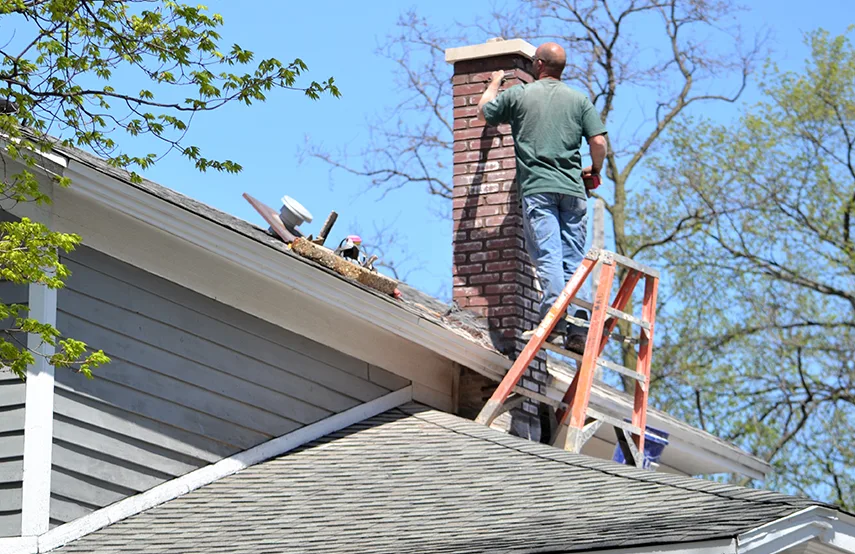 Chimney & Fireplace Inspections Services in Americus, GA