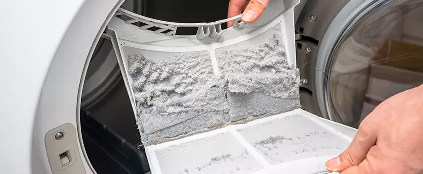 Best Dryer Lint Removal Company in Americus, Georgia