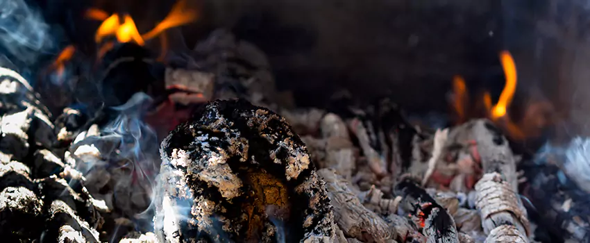 Creosote Removal Experts in Americus, GA