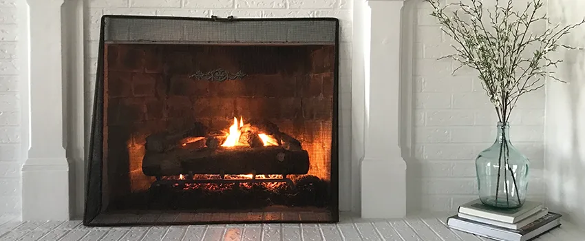 Cost-Effective Fireplace Mantel Inspection And Maintenance in Americus, GA